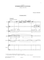 Vincenzo Saldarelli - Introduzione et Fantasia