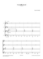 Francis Goudard - un souffle du sud