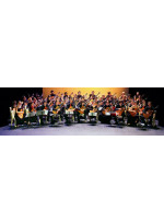 Guitar orchestra