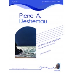 Pierre-Arnaud Destremau -...