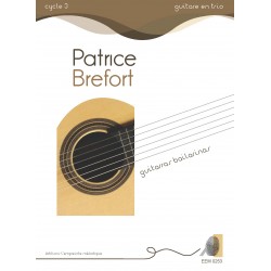 Patrice Bréfort - Guitarras...