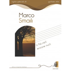 Marco Smaili - Il faisait...